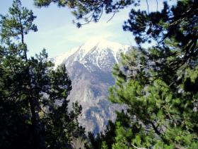 photo coins arrondis